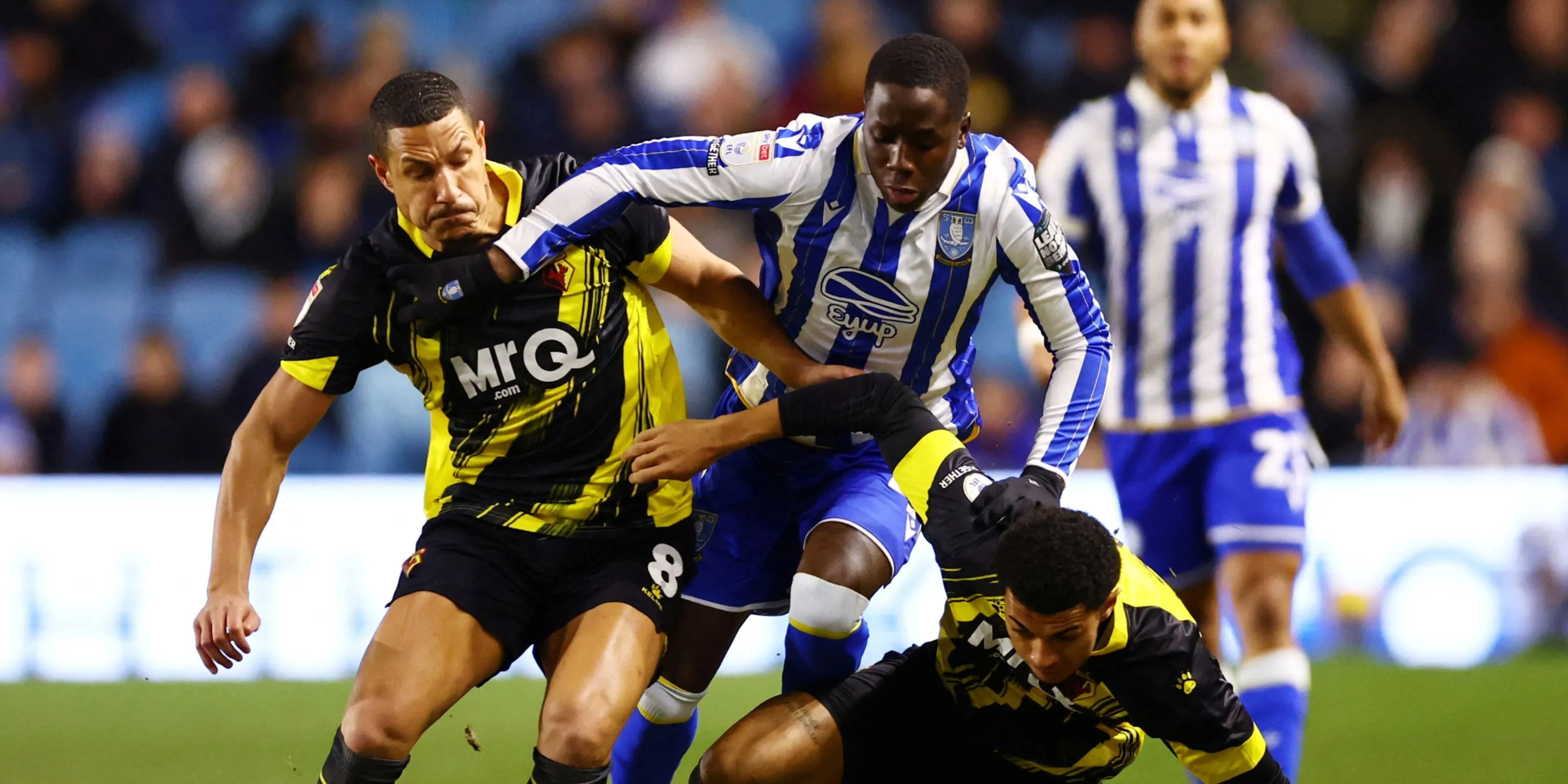 Djeidi Gassama thi đấu cho Sheffield Wednesday ở Championship