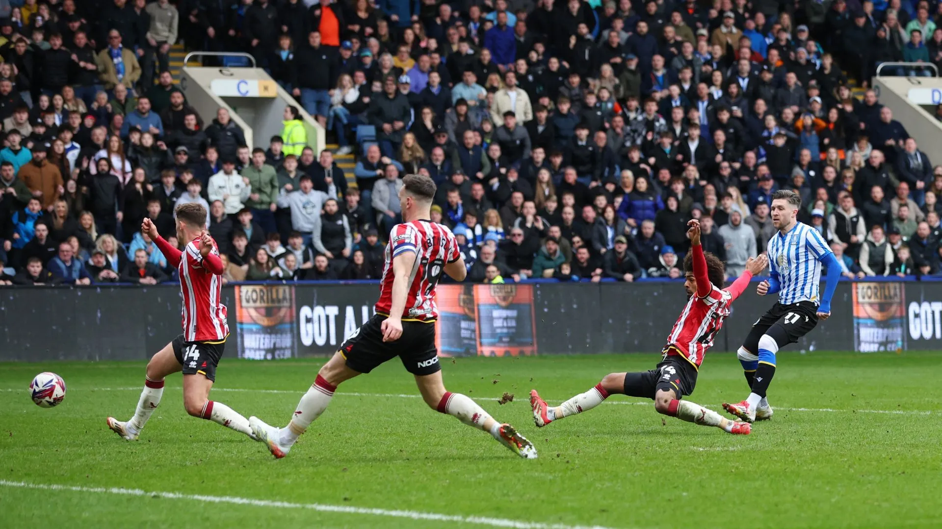 Josh Windass ăn mừng bàn thắng quan trọng cho Sheffield Wednesday