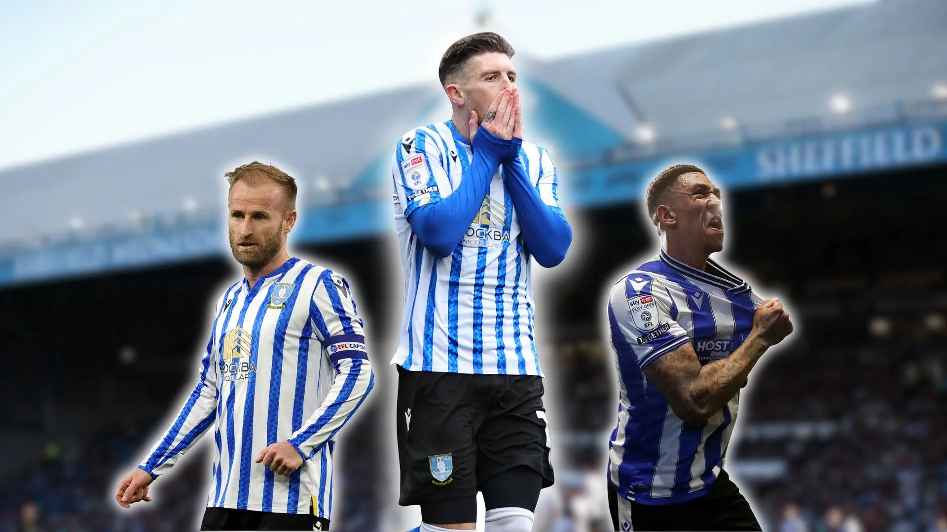 Josh Windass cùng Barry Bannan và Liam Palmer trong màu áo Sheffield Wednesday