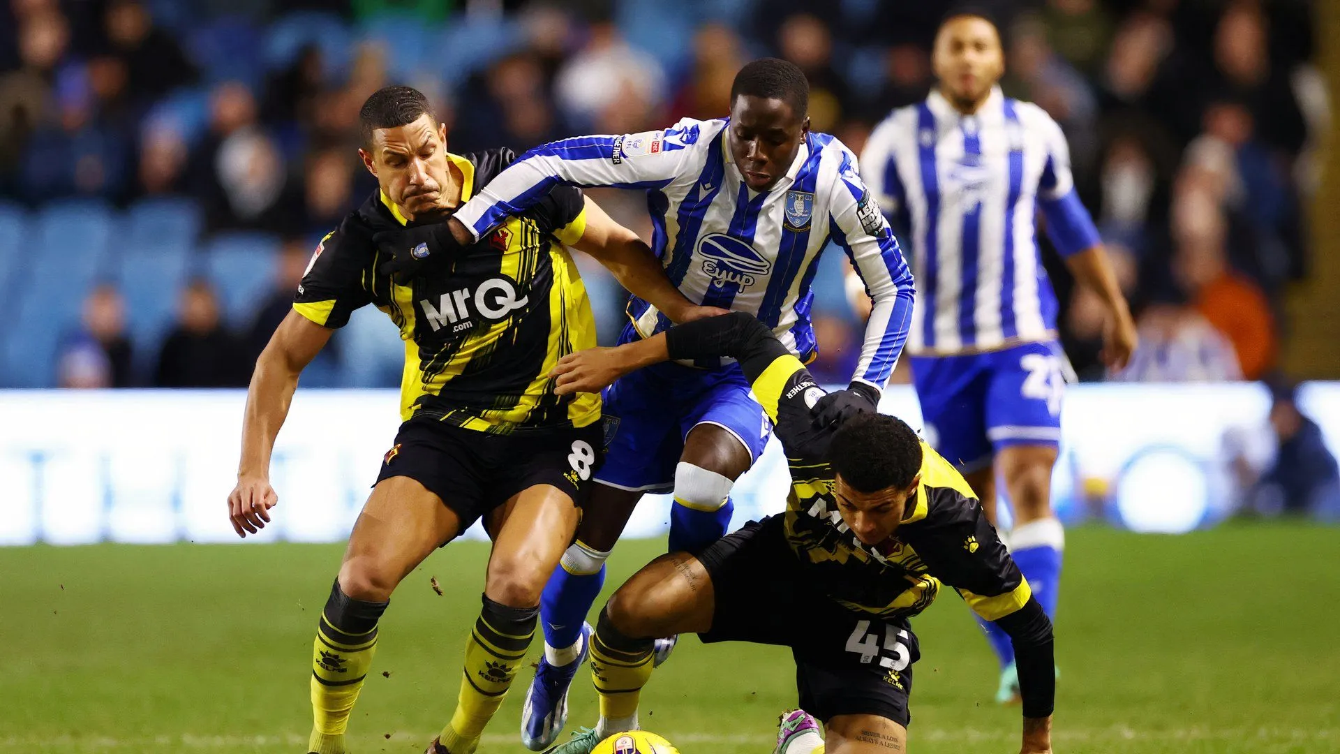 Tiền đạo Djeidi Gassama trong màu áo Sheffield Wednesday