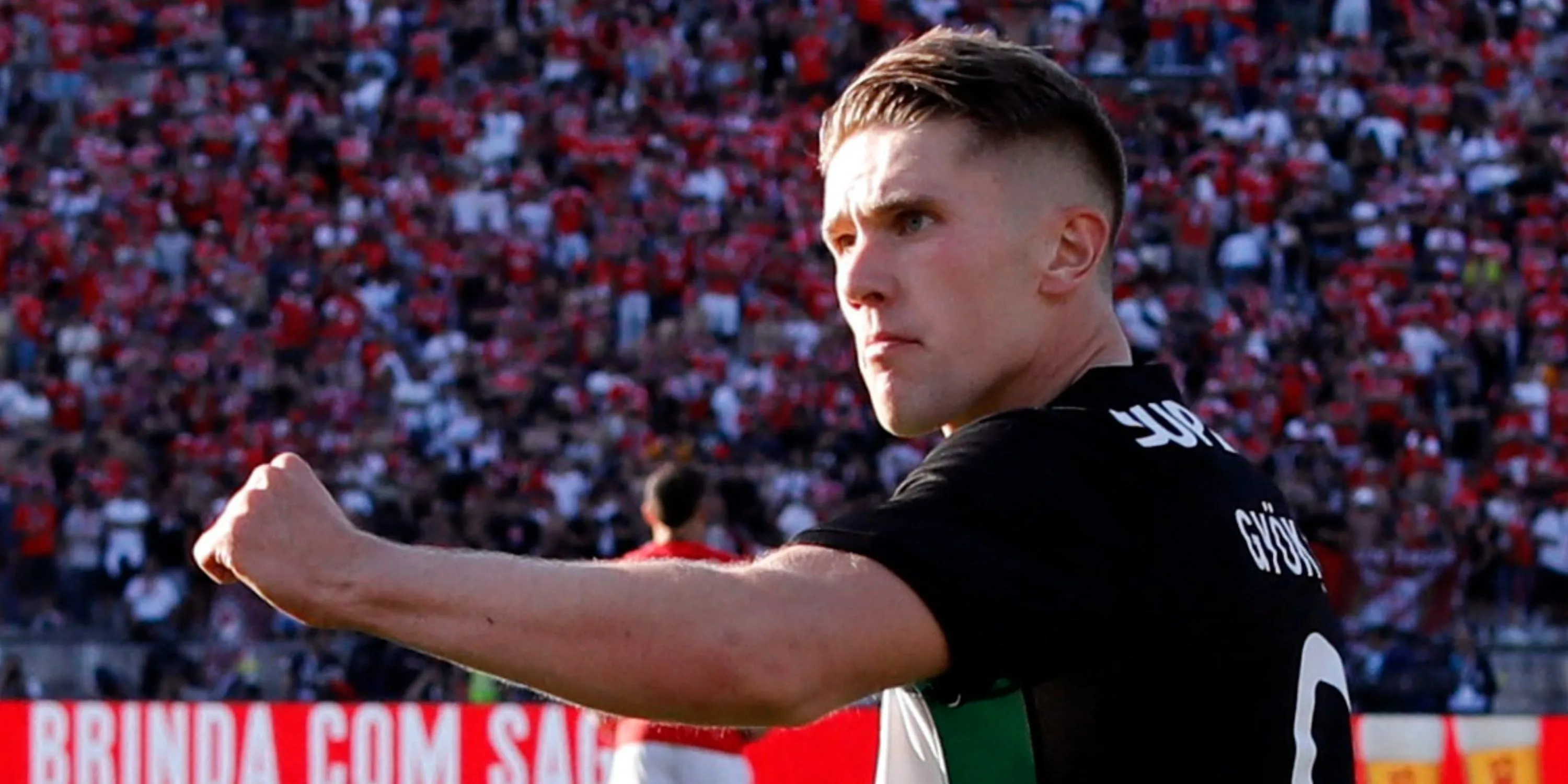 Viktor Gyokeres trong màu áo Sporting Lisbon tại giải VĐQG Bồ Đào Nha