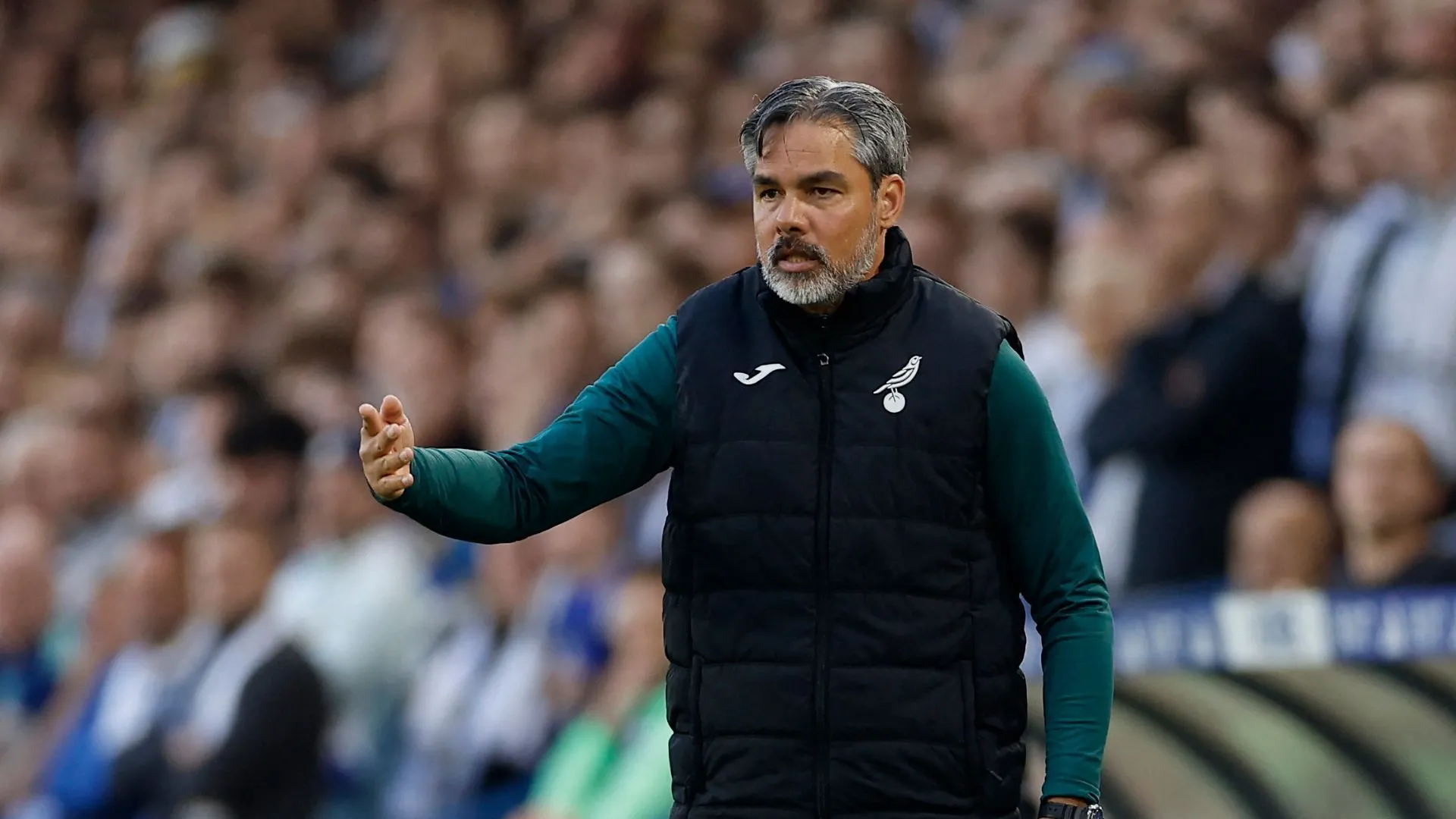 David Wagner dẫn dắt trên đường biên, hình ảnh thời ông còn ở Norwich